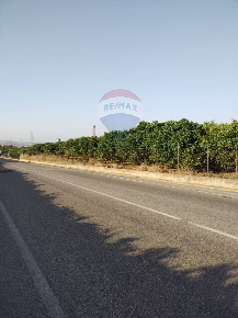 Foto Terreno agricolo in bivio camemi, Mineo di 35000 m² in vendita
