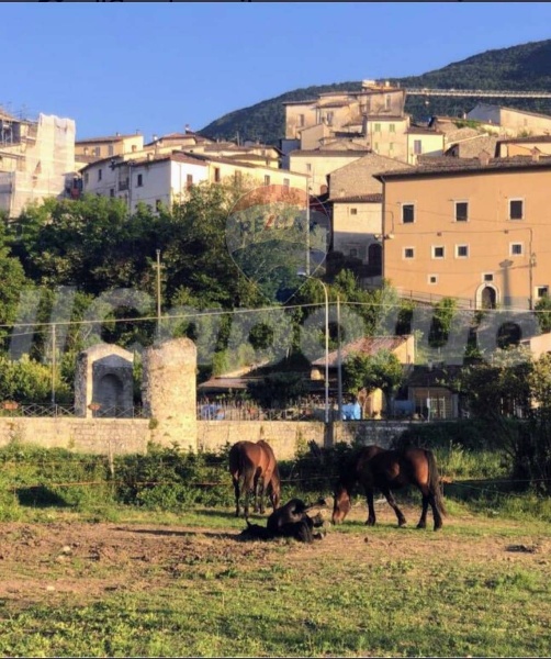 immagine annuncio 4 di 7