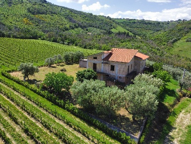 Foto Rustico in Contrada Piane Tronto, Controguerra di 500 m² con 10 locali