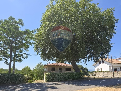 Foto Casa indipendente in via canale, Torrevecchia Teatina di 300 m²