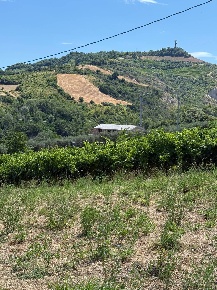 Foto Rustico in Collevecchio, Ripatransone di 256 m² con 8 locali