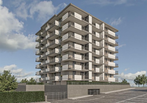 immagine annuncio 1 di 12