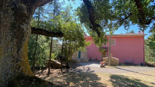 Foto Rustico a Arcidosso di 440 m² in vendita