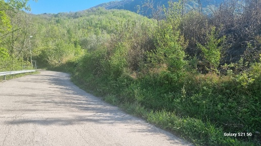 immagine annuncio 3 di 6