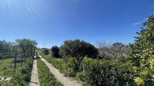 Foto Rustico in contrada Coste San Ippolito, Pachino di 6700 m² in vendita