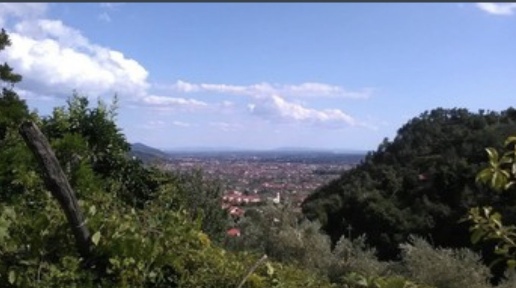 immagine annuncio 1 di 9