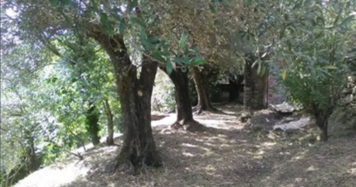 immagine annuncio 6 di 9