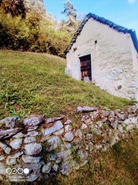 immagine annuncio 7 di 8