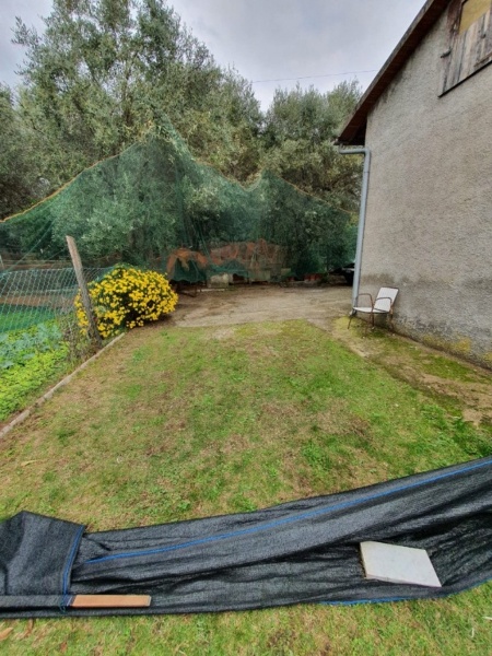 immagine annuncio 8 di 11
