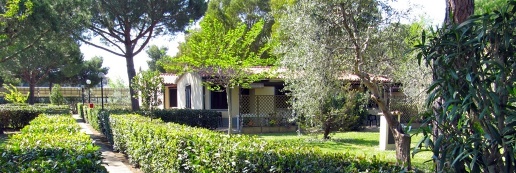 Foto Rustico in loc. perelli, Piombino di 38 m² con 2 locali in vendita