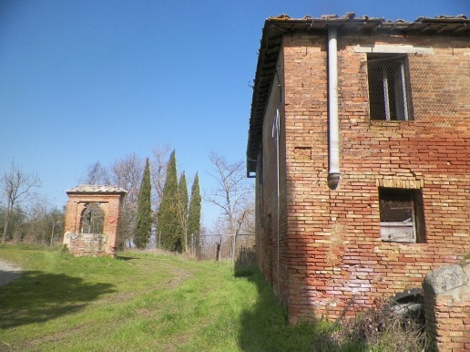 immagine annuncio 11 di 13