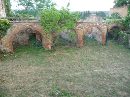 immagine annuncio 10 di 13