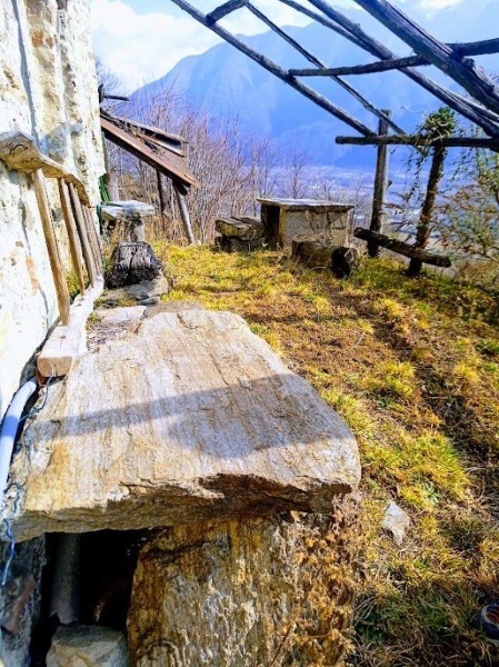 immagine annuncio 9 di 15