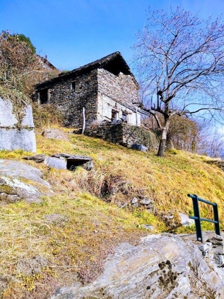 immagine annuncio 11 di 15