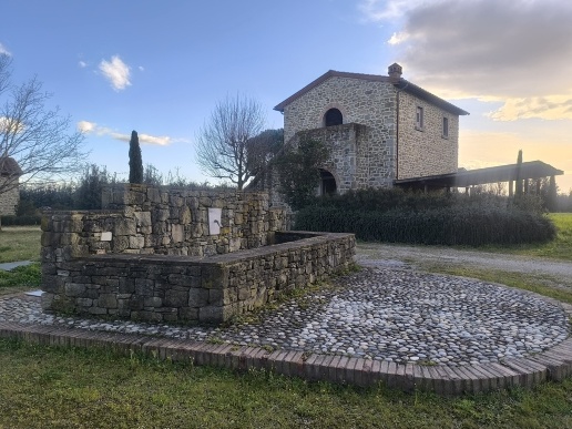 immagine annuncio 3 di 11