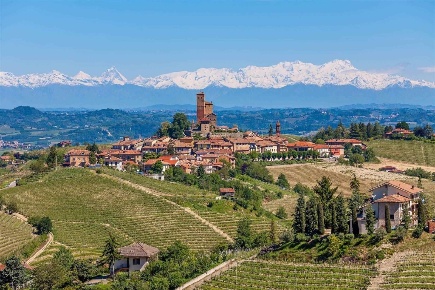 Foto Rustico a Monforte d'Alba Centro di 270 m² con 10 locali in vendita