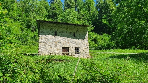 immagine annuncio 1 di 3