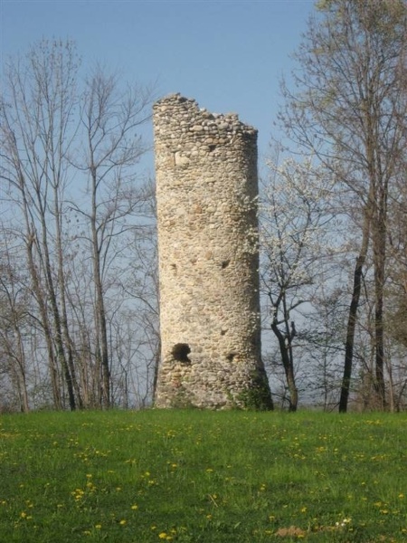 immagine annuncio 8 di 15