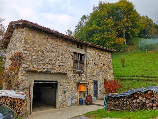 immagine annuncio 1 di 8