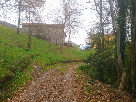 immagine annuncio 3 di 8