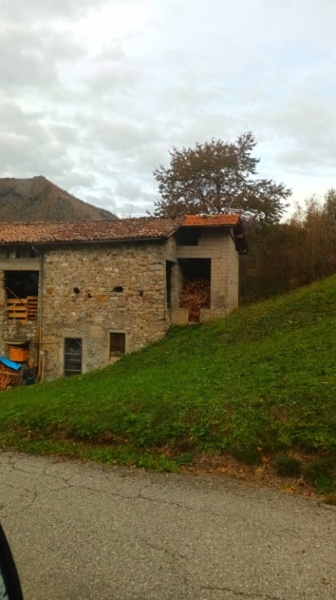 immagine annuncio 5 di 8