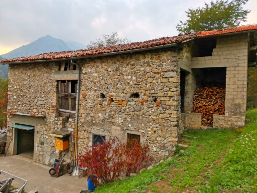 immagine annuncio 7 di 8