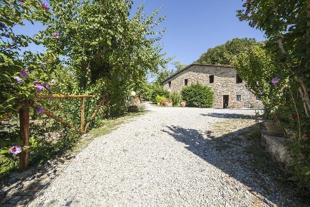 Foto Rustico a Castel del Piano di 760 m² in vendita