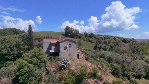 Foto Rustico a Asciano di 300 m² in vendita