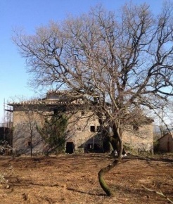 Foto Rustico in zona Castel Cellesi, Bagnoregio di 800 m² con 10 locali