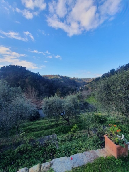 immagine annuncio 5 di 13