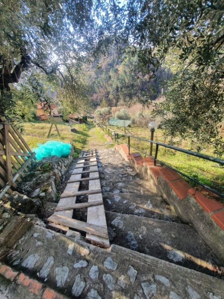 immagine annuncio 8 di 13