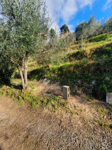 immagine annuncio 9 di 13