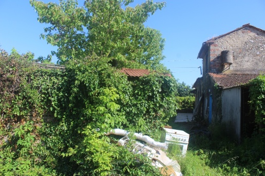 immagine annuncio 5 di 6