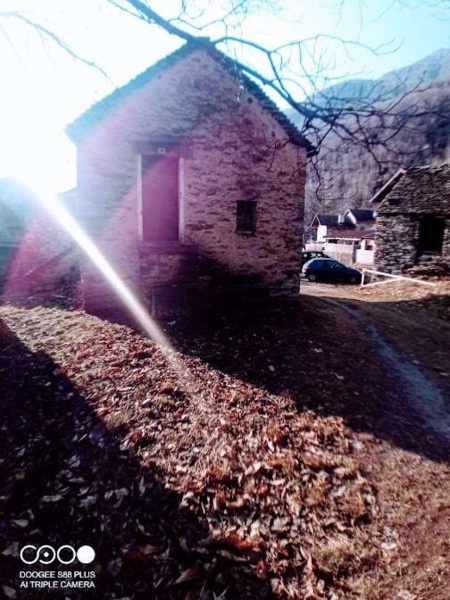 immagine annuncio 7 di 9