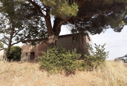 Foto Rustico a Montefiascone di 340 m² con 8 locali in vendita