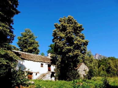 Foto Rustico a Crodo di 50 m² con 4 locali in vendita