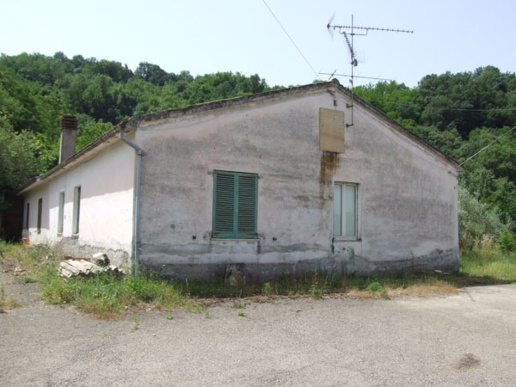 immagine annuncio 3 di 7