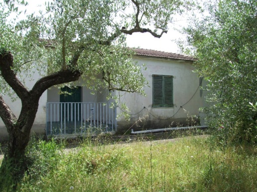 immagine annuncio 4 di 7