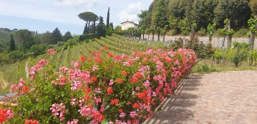 Foto Rustico in via volterrana, Chianni di 365 m² in vendita