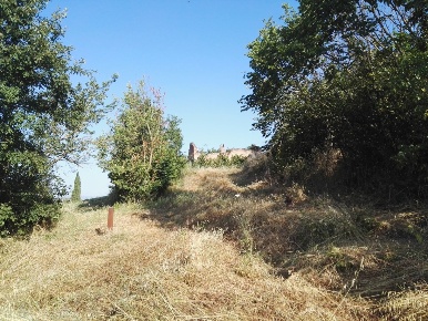 Foto Rustico a Monteroni d'Arbia di 790 m² in vendita