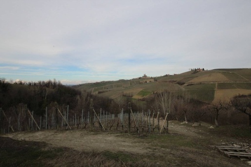 immagine annuncio 5 di 14