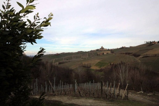 immagine annuncio 8 di 14
