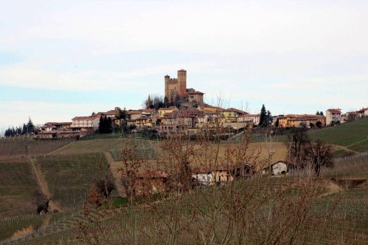 immagine annuncio 10 di 14