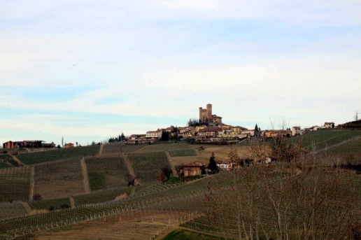 immagine annuncio 11 di 14