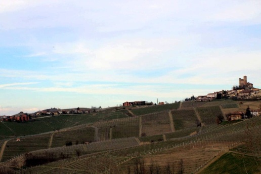 immagine annuncio 12 di 14