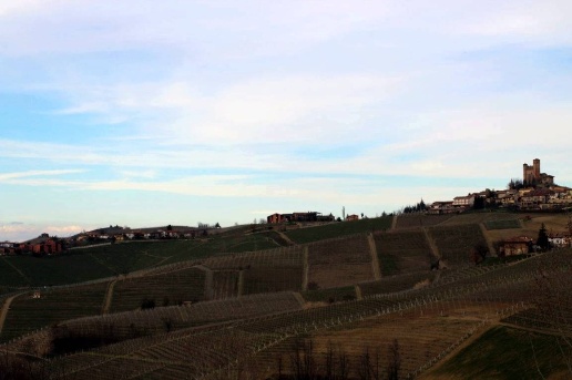 immagine annuncio 13 di 14