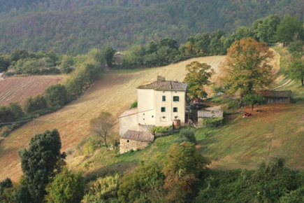 Foto Rustico a Chiusdino di 800 m² in vendita