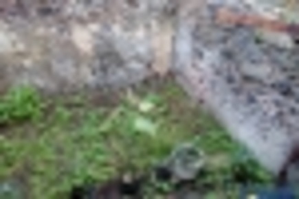 Foto Rustico in via Antonio Cagnoni, Catania di 170 m² con 5 locali