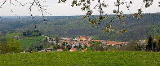 Foto Rustico a Donato in vendita