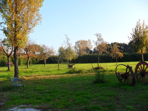 immagine annuncio 1 di 9
